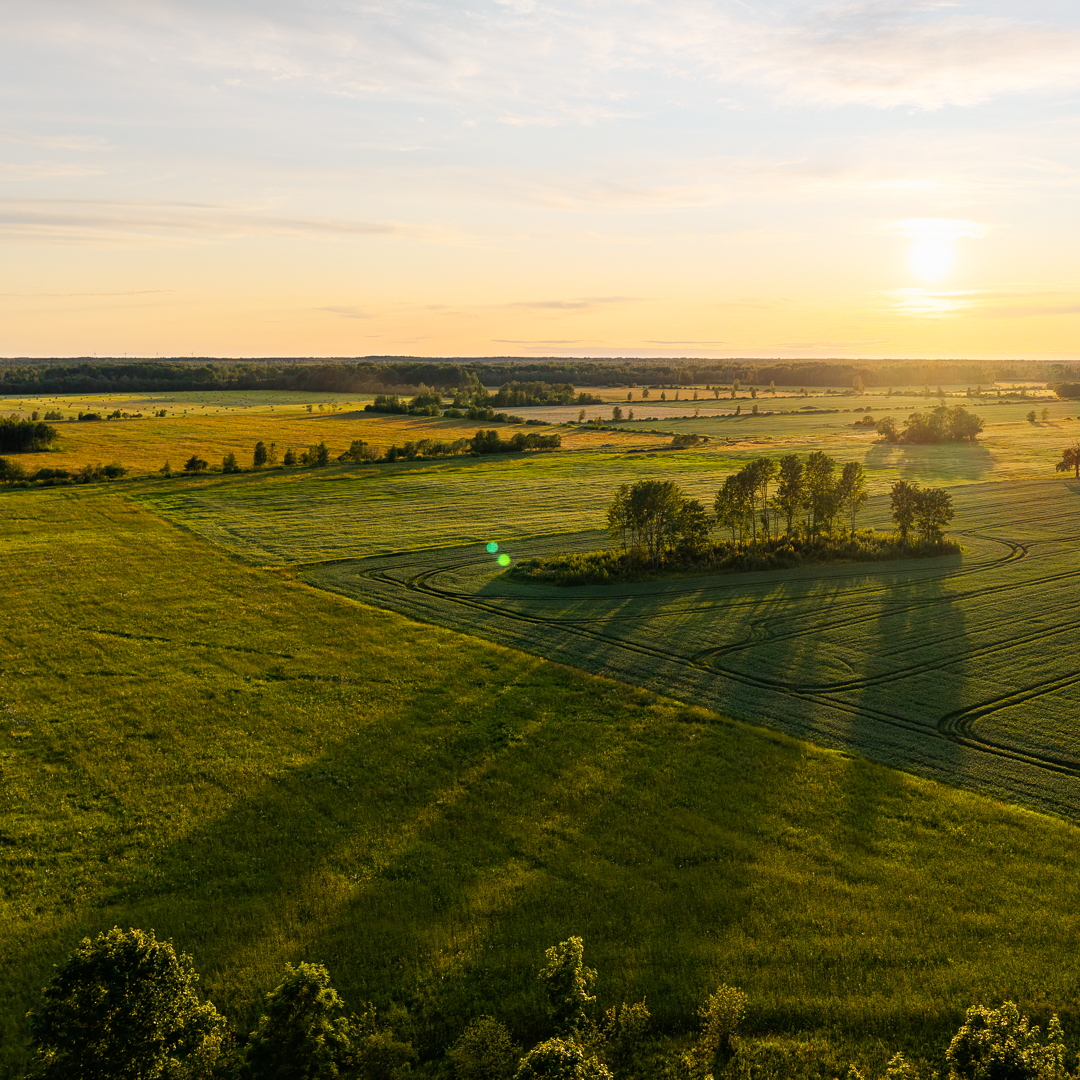 Suvine päikeseloojang Pärnumaal Tõhela külas.